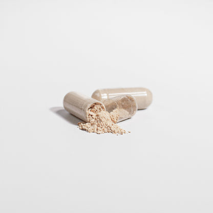 Cordyceps Mushroom - PROTIMIN