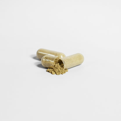 Ginkgo Biloba + Ginseng - PROTIMIN